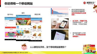互聯(lián)網(wǎng)食品營銷解決方案 信息技術(shù)咨詢服務(wù)精華解析